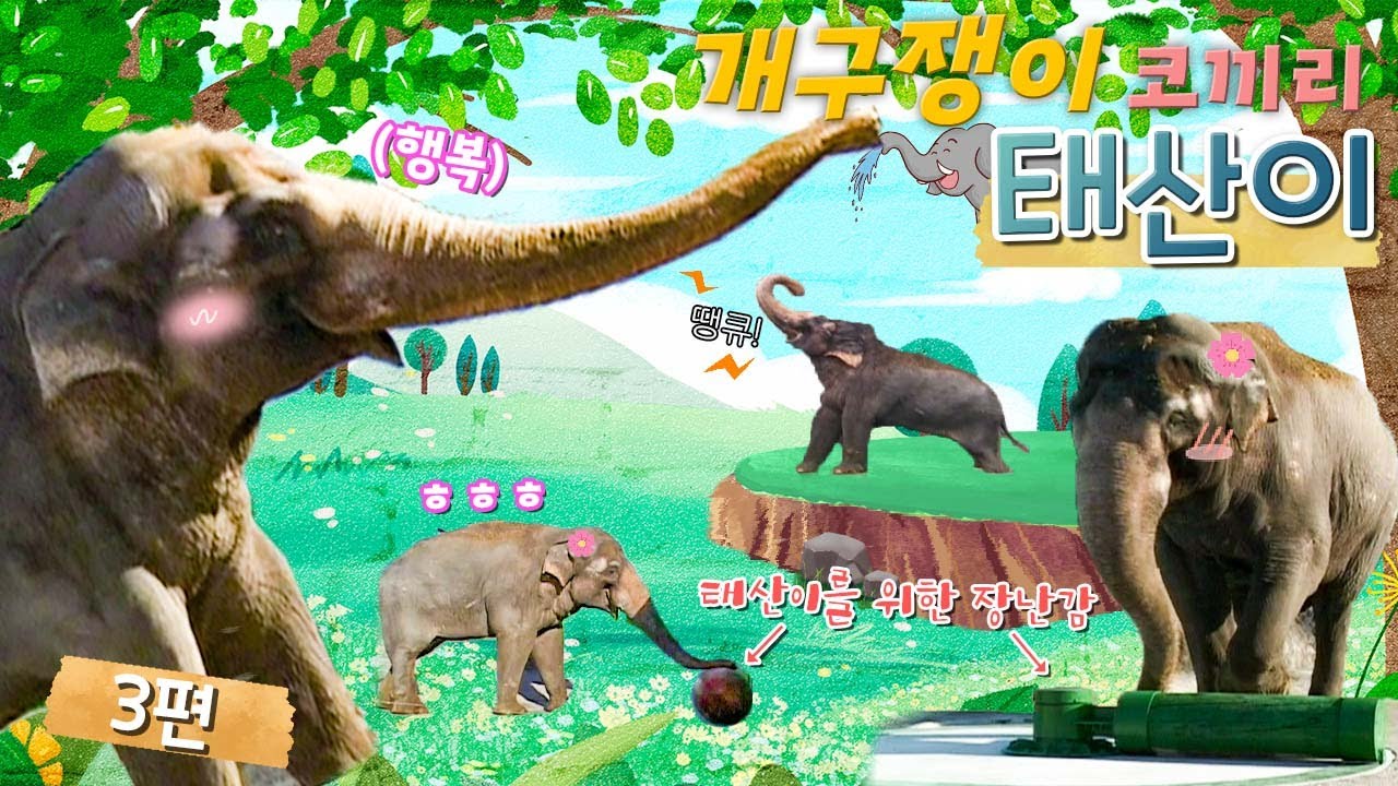 💥개구쟁이 코끼리 태산이🐘 3편 태산이의 해피하우스💖 [KBS대/세/남 With Animals] / KBS 방송