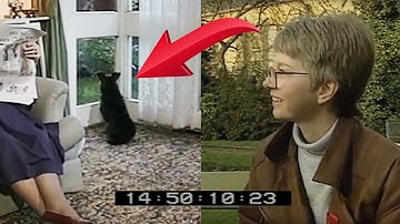 Jaytee, a dog who knew when his owner was coming home: The ORF Experiment