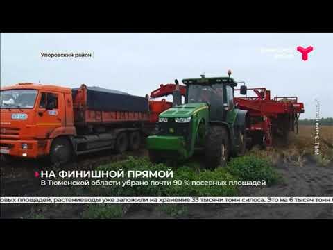 Уборочная кампания в