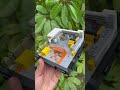 Cache From Counter-Strike LEGO Maps. #cs2 #lego #csjoyer