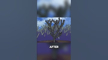 How Did Life Begin on Earth?