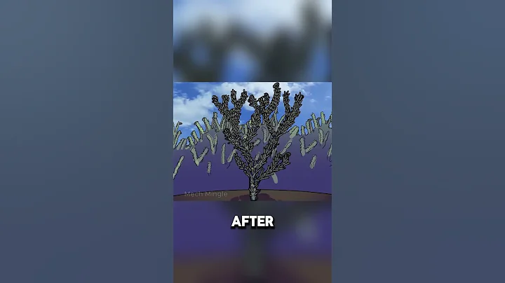 How Did Life Begin on Earth?