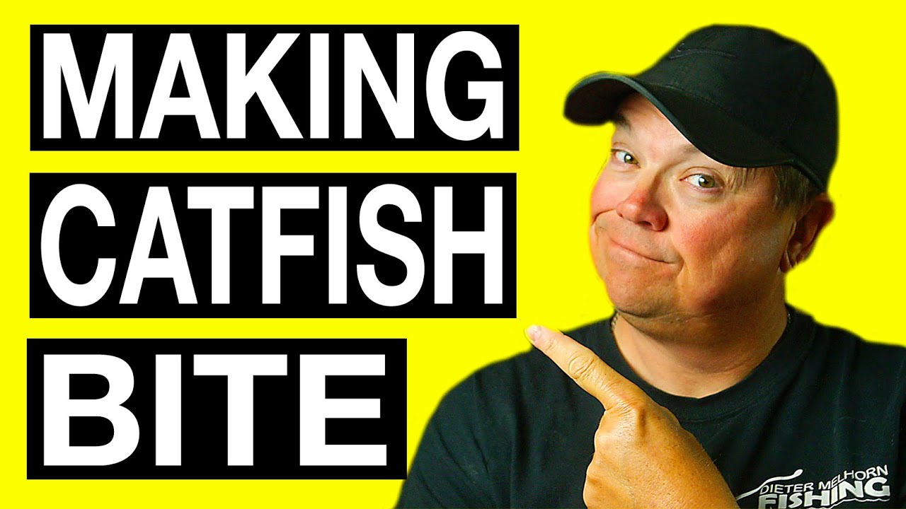 Changing Catfish Bait to Catch Fish - YouTube