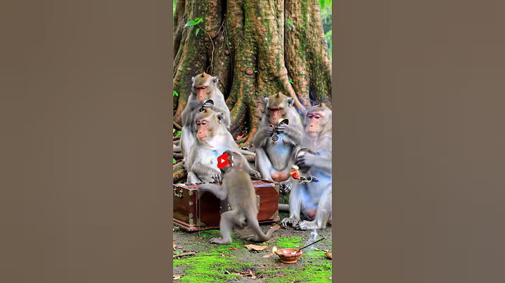 बंदरों की सुंदर भक्ति | जय हनुमान  | जय श्री राम | #monkey #trending #ai #viral ‎⁨trending reels