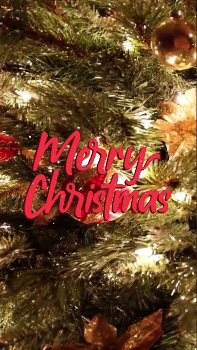 O holy night