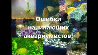 Ошибки начинающих аквариумистов.