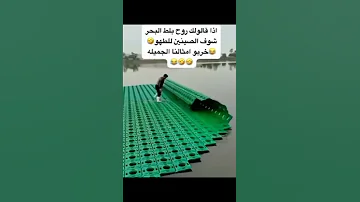 روح بلط البحر 