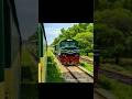 ZCU &GEU locomotive. #train #zcu #geu40 #viralvideo #foryou
