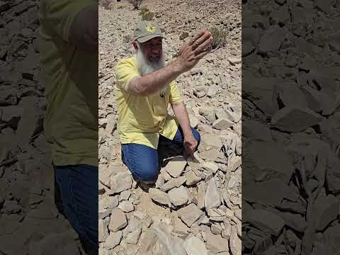 البحث عن العسل البري في جبال سلطنة عمان 2