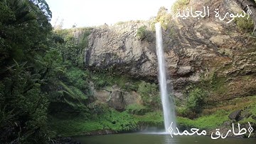 تلاوة مكررة سورة الجاثية (كاملة) تلاوة مطمئنة للقارئ طارق محمد(1080P_HD)