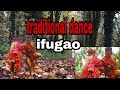 #ifugao traditional dance ifugao