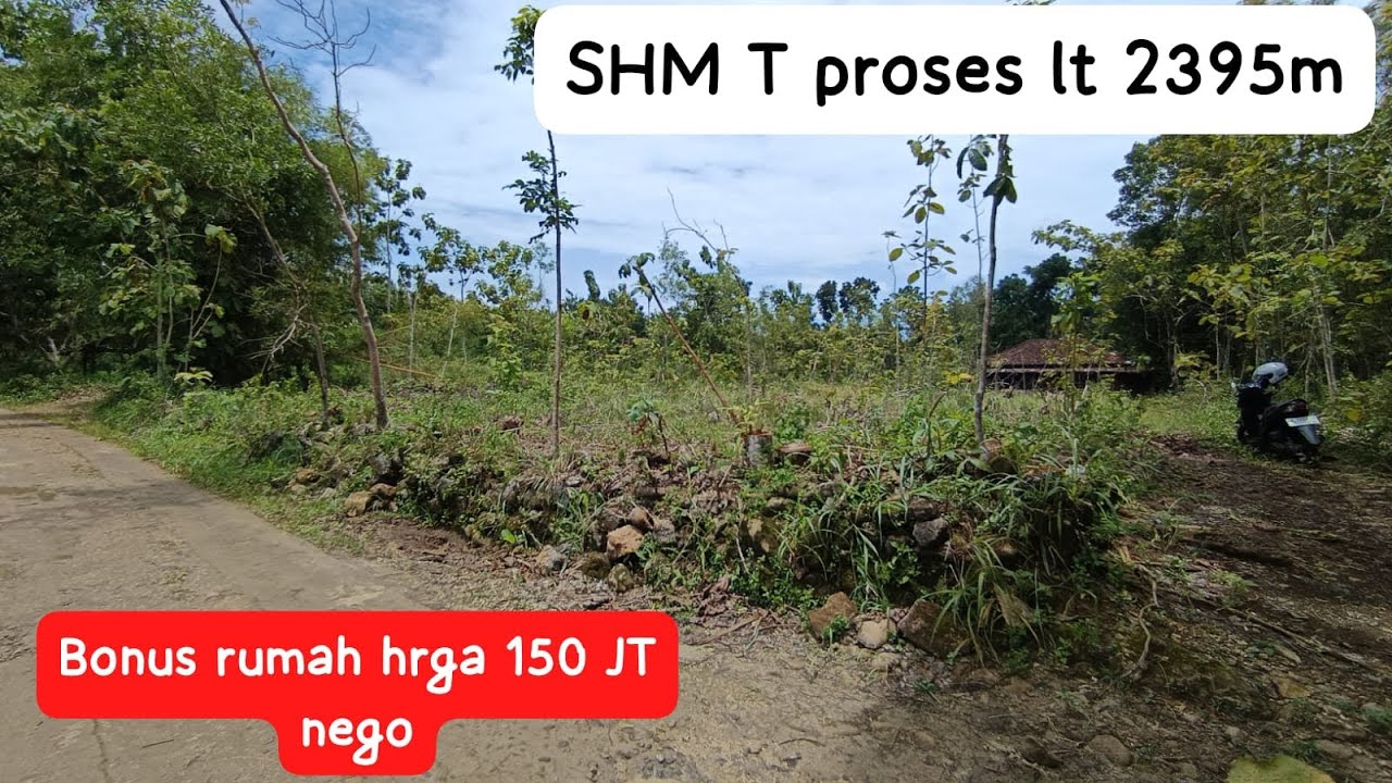 TERJUAL ❌ Tanah Bonus Rumah SHM T Proses Murahh!! #jualtanah#tanahmurahgunungkidul