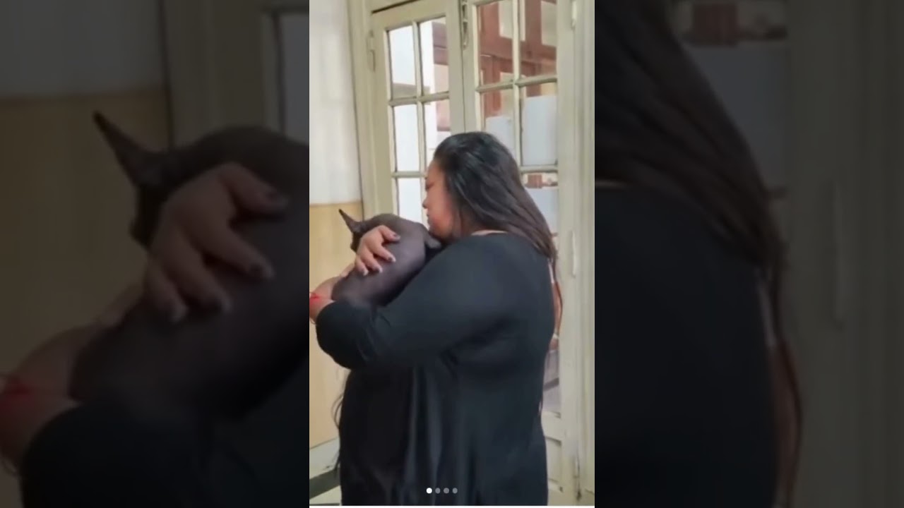 Final feliz: Así rescataron a Imay, la perra robada en Parque Sicardi