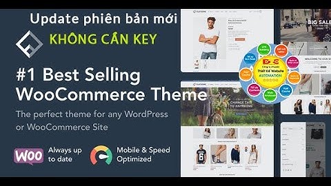 Hướng Dẫn update theme flatsome không cần key