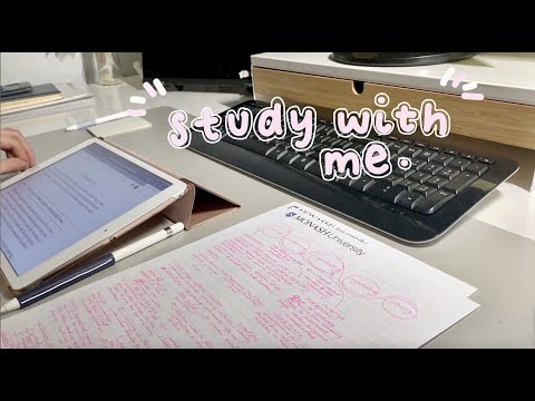 study with me with calming piano bgm (writing + typing sounds)