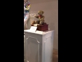 シャボン玉をするクマの人形