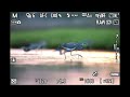 Middle of video