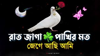 Premer Shayari Sweet Love Story Valobasar Notun Shayari 2023 Tik Tok Shayari