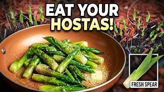 Yes You Can Eat Hostas How To Cook And Eat Hosta Plants