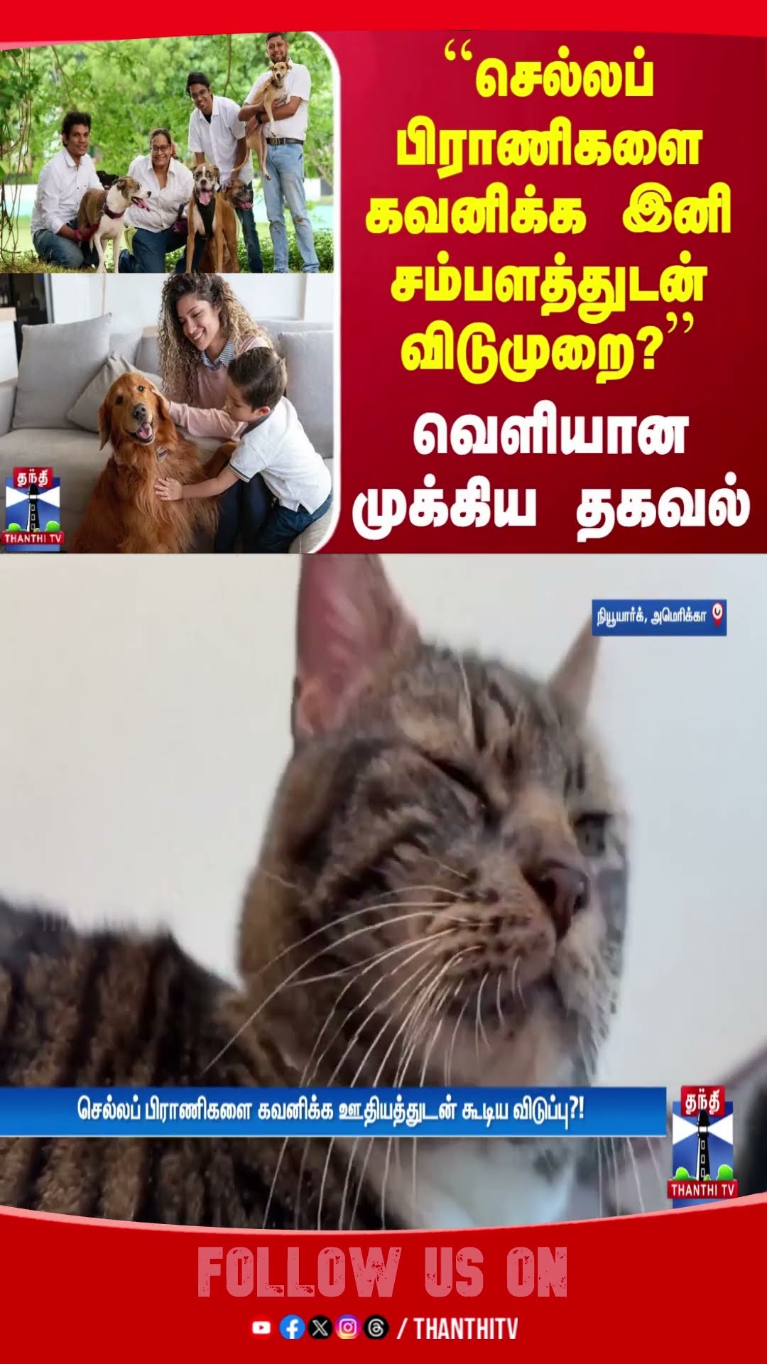 Pet Animals || America || Pet Parents