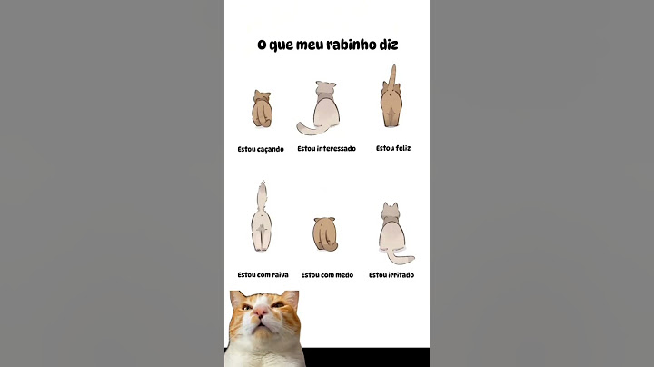 NOSSA LINGUAGEM 🗣️ você já reparou nisso humano?  | #gatos #gato #pets #gatosendogato #gateiras