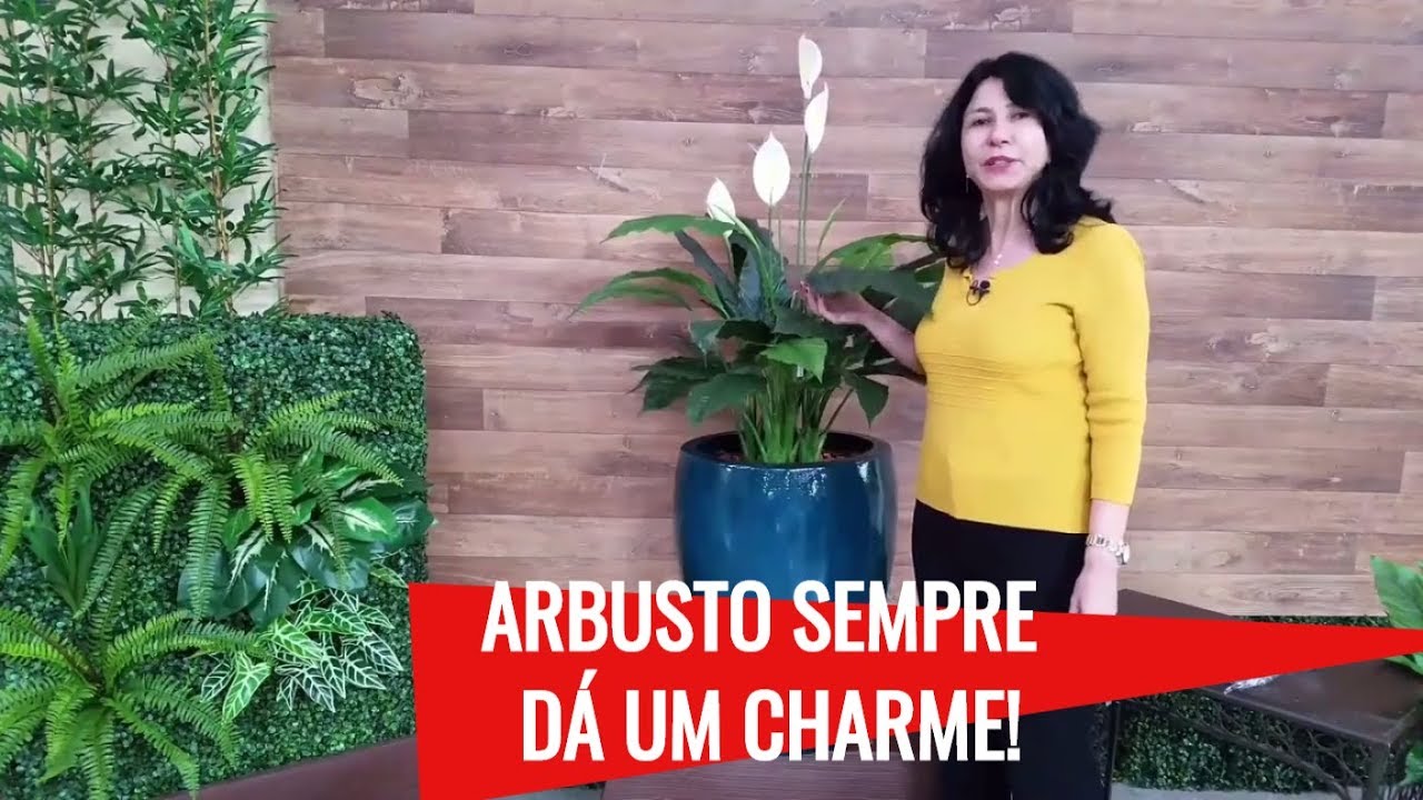 Como Fazer um Lindo Arranjo de Lírio da Paz Artificial