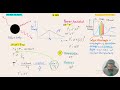 Stephen boltzman law &amp; Wien's law..IB Physics SL Q29 May 2021 TZ1