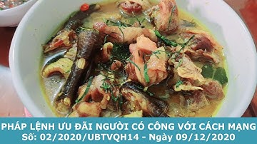 Pháp Lệnh Ưu Đãi Người Có Công Với Cách Mạng 2020 - Chương 2. ĐIỀU KIỆN, TIÊU CHUẨN CHẾ ĐỘ ƯU ĐÃI