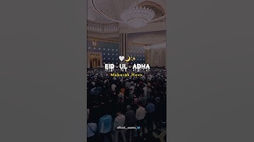 Eid Ul Adha Mubarak 4k Status Full Screen || Eid Mubarak WhatsApp Status || Baqra Eid Mubarak 🐏