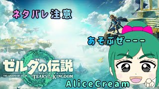 【ゼルダの伝説】とりまいろいろいこ【ティアーズオブザキングダム】