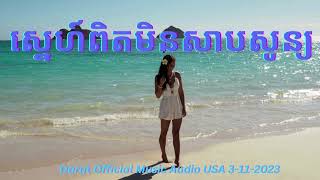 ស្នេហ៍​ពិត​មិន​សាបសូន្យ​Snaeh Min Sap Sone Best Khmer Song Audio