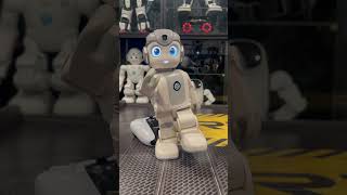 Mini Kung Fu Robot - Alpha Mini Fighting Humanoid #robot #shorts