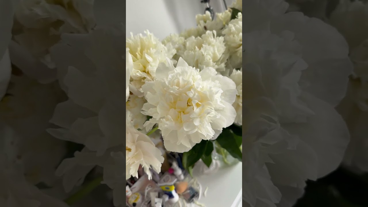 МАГАЗИН ЦВЕТОВ ДНЕПР. ДОСТАВКА БУКЕТОВ НА ДОМ. КУПИТЬ ПИОНЫ ДНЕПР 