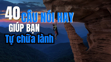 40 Câu Nói Hay Truyền Cảm Hứng Giúp Bạn Sống Tích Cực Mỗi Ngày