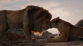 Circle of life 2019 added new sounds and geek music version
