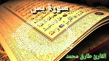 Qari Tariq Muhammad | Surah Yaseen | سورة يَسِ | القارئ طارق محمد