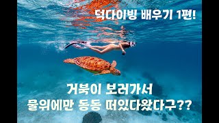 덕다이빙 배우기 1편 : 해외가기전에 꼭 봐야할 잠수하는 방법 배우기!