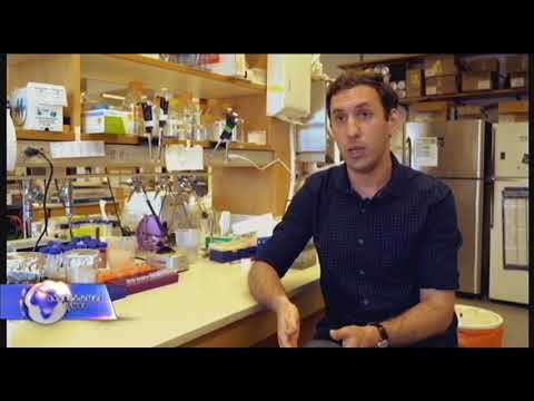 ქართველი მეცნიერი აშშ-ში კიბოს დამარცხების გზებს ეძებს