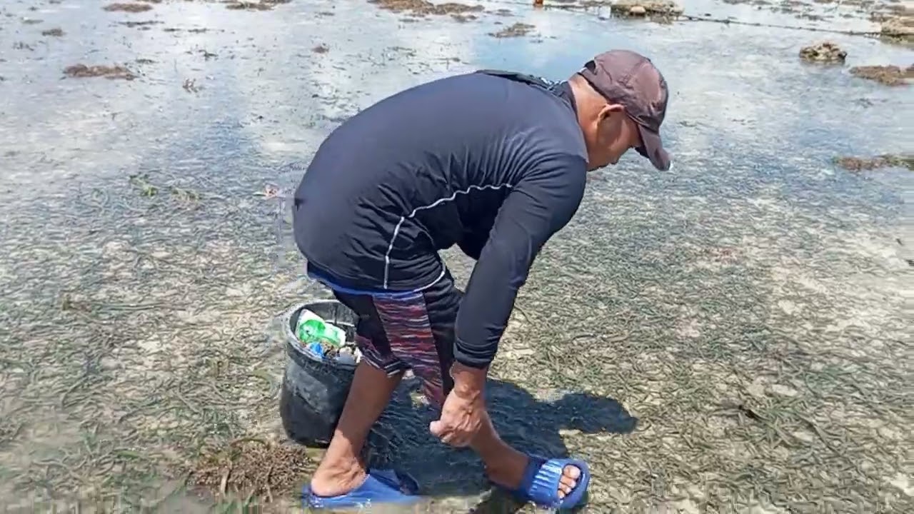 dami naming nakuha na sea shells 👍👍