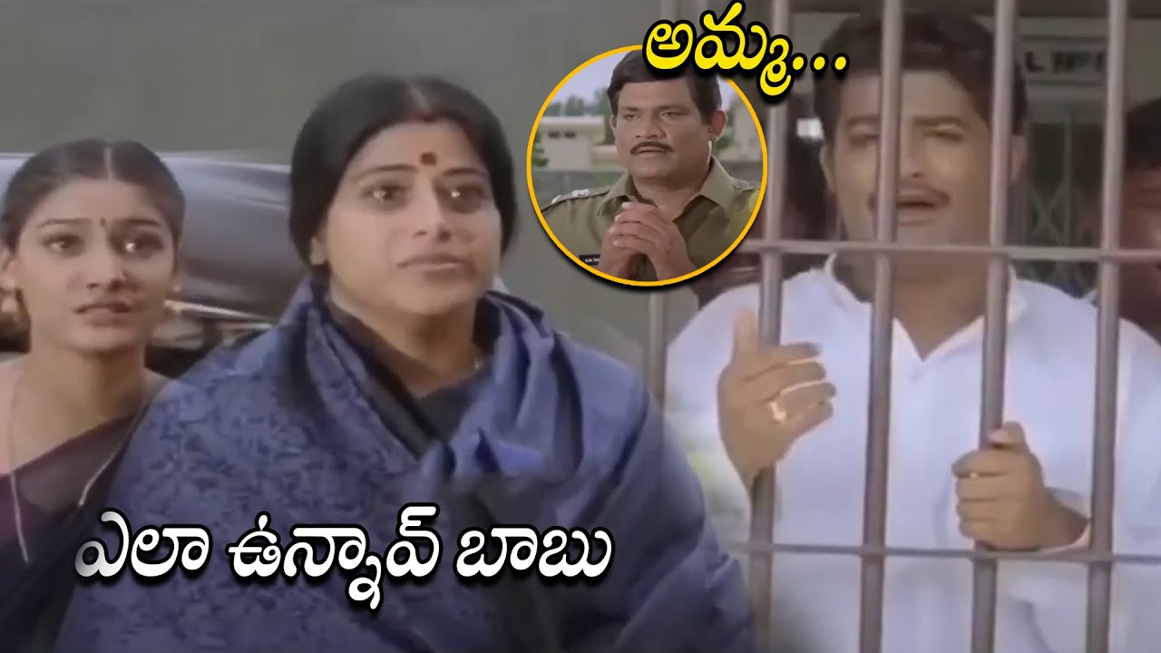 Jr Ntr Family Visiting Ntr In Jail Emotional Scene || Student No 1 Movie Scenes || HIT MOVIES