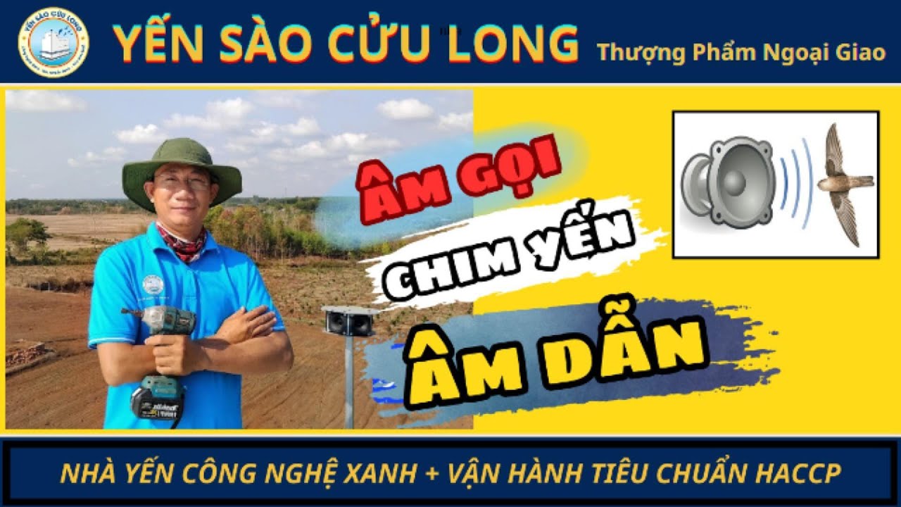 ÂM GỌI CHIM YẾN - 