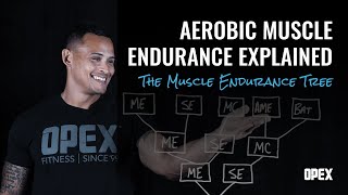 Celebrity Aerobic Muscle Endurance Explained - The Muscle Endurance Tree Net Worth