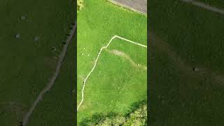 Rezervația de Bujor de stepă, Zău de Câmpie - județul Mureș #drone #djimini4pro #travel #nature