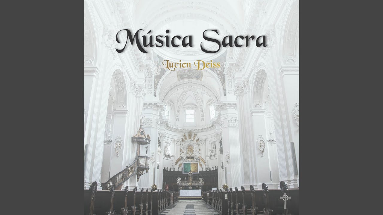 Como brotes de olivo