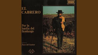 A los perros embusteros
