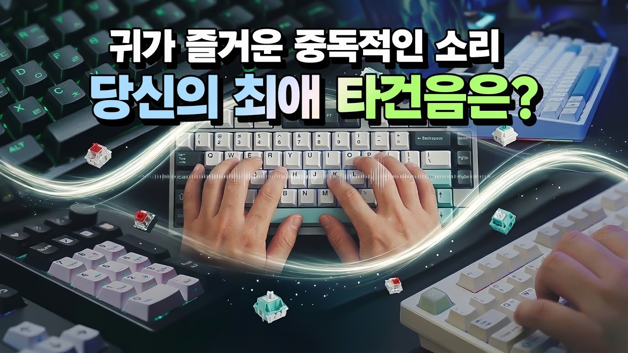 HMX부터 BCP까지, 요즘 핫한 스위치 7종 다 모았습니다 (귀 정화 주의)