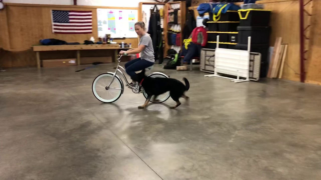 video phone beyonce mp3 Bicycle Bad Man Attack Training W/