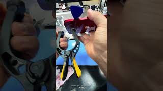 iPhone 13 troca de bateria | como é feita a troca