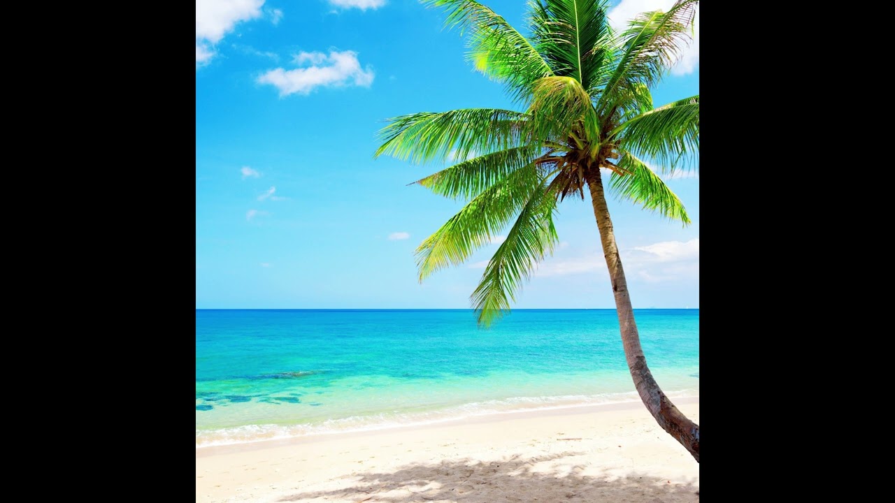 [FREE] LIL TECCA TROPICAL TYPE BEAT - "EQUATORIAL" 2023