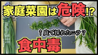 【家庭菜園】庭で育てたニラ？を食べようとしてヒヤッとした実話【食中毒に注意】